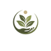 Origen vital – Inicio